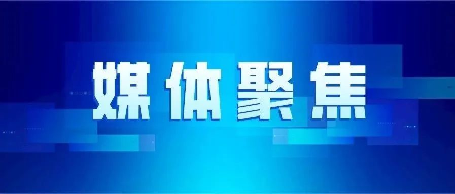 媒体聚焦